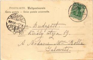 1902 Dresden, Ober-Loschwitz, Hotel Felsenburg, Blick vom Hotel Felsenburg. Weisser Hirsch C. Maisch...