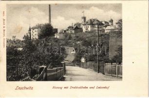 Dresden, Loschwitz, Rissweg mit Drahtseilbahn und Luisenhof / street view, wire cable (fl)