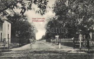 Dunaharaszti Hegyi Lajos utca