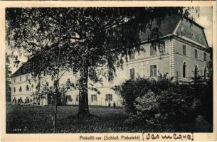 1920 Pinkafő, Pinkafeld; vár, kastély. Karl Strobl kiadása / castle (vágott / cut)