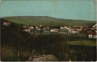 1911 Savanyúkút, Sauerbrunn; látkép. M. Stelzmüller kiadása / general view (EK)