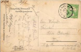 1911 Savanyúkút, Sauerbrunn; látkép. M. Stelzmüller kiadása / general view (EK)