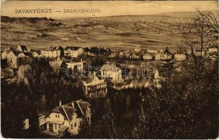 1913 Savanyúkút, Sauerbrunn; látkép. Hönigsberg Frigyes kiadása / general view (EK)