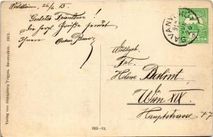 1913 Savanyúkút, Sauerbrunn; látkép. Hönigsberg Frigyes kiadása / general view (EK)