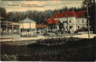 1915 Tarcsa, Tarcsafürdő, Bad Tatzmannsdorf; Miksa artézi forrás, forrásépület és colonade. Hönigmann Jakab kiadása / spa, spring source, bath (fa)