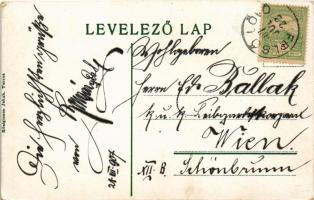 1907 Tarcsa, Tarcsafürdő, Bad Tatzmannsdorf; Fürdő. Hönigmann Jakab kiadása / spa, bath (EK)