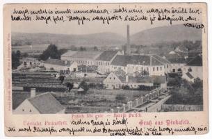 1902 Pinkafő, Pinkafeld; Putsch féle gyár, posztó- és pokrócgyár. Putsch Sándor saját kiadása / Fabrik / textile factory (EK)