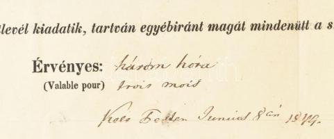 1849 Magyarország belügyminisztere által kiállított útlevél, Drasche Gusztáv bányaigazgató és család...