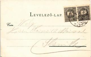 1899 (Vorläufer) Fenyőháza, Lubochna; Vág folyó, Felső zsilip, Vasúti út, Liptói népviselet. Wlaslow...