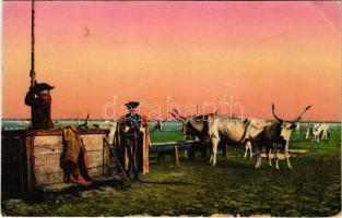 Hortobágy, Élet a Hortobágyon, gulya itatás, magyar folklór (EB)