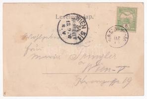 1902 Búrszentmiklós, Bur-Sankt-Niklas, Borsky Mikulás (Szenice, Senica); utcakép. Kiadja Emanuel J. ...