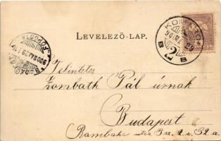 1900 Komárom, Komárno; Komárom-Újváros, Országút, Igmándi út, Sárkány Ignác üzlete. Hacker Richárd k...