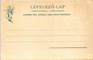 Tátra, Magas-Tátra, Vysoké Tatry; Szepes-Zips, Parasztcsalád a Kárpátok alatt, Széplaktól vezető út ...