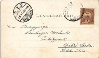 1901 Huszt, Chust; vár és tere. Mermelstein Fülöp kiadása 4127. / castle and square. Art Nouveau, fl...
