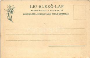 Tátra, Magas-Tátra, Vysoké Tatry; Ivan Markovics olajfestménye után. Feitzinger Ede 1902/12. 411. / ...