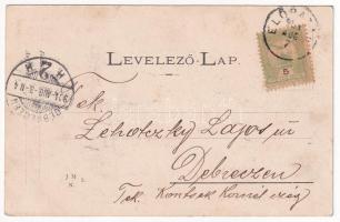 1904 Előpatak, Valcele; Teniszpálya és kültéri tornahely / Tennis- u. Turnplatz / tennis court, outd...