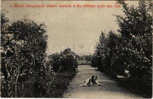 1910 Modor, Modra; A leánynevelő intézeti kertnek a Kis-Alföldre nyíló alsó útja, kutya / garden of the girl school, dog (EB)