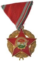 1982. Munkásőrség aranyozott, zománcozott bronz 25 éves jubileumi kitüntetés nem saját mellszalagon T:XF