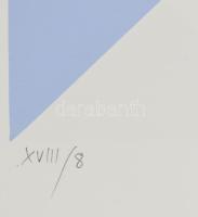 Konok Tamás (1930-2020): Kompozíció, 1998. Szitanyomat, papír, jelzett. Számozott: XVIII/8. Üvegezet...