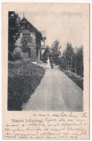 1904 Szamosfő, Maguri; Magurai nyaralótelep, Gróf Wass A. villa / holiday resort, villa (EB)