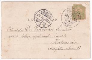 1904 Szamosfő, Maguri; Magurai nyaralótelep, Gróf Wass A. villa / holiday resort, villa (EB)