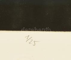 Kéri Imre (1945- ): "Mihail Bulgakov: A Mester és Margarita". Mezzotinto, papír, jelzett, ...