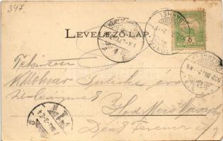 1902 Torontálalmás, Torontál-Almás, Apfeldorf, Jabuka; Községháza, tűzoltó ünnepség / town hall, fir...