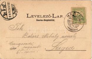 1905 Nekcse, Nasice; Gróf Pejacsevich kastély családi sírboltja. Ignácz Novakovic kiadása / Obiteljs...