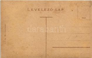 Orsova, Dunagőzhajózási kikötő, gőzhajó / port, steamship