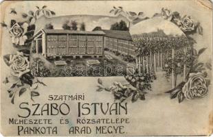 Pankota, Pancota; Szatmári Szabó István szőlőbirtokos méhészete és rózsatelepe / apiary and rose farm advertisement card. Art Nouveau, floral (EM)