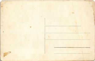 Pankota, Pancota; Szatmári Szabó István szőlőbirtokos méhészete és rózsatelepe / apiary and rose far...