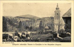 Tarújfalu, Novoselytsya, Noua Sulita; Pflügende ruthenische Bauern. Phot. Hauptmann Banka - Feldpost Wohlfahrts-Postkarte / Rutén parasztok szántás közben / Rusyn folklore, plowing