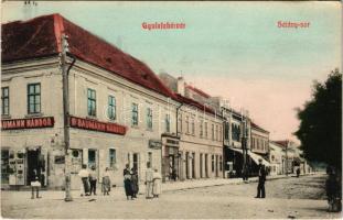 1913 Gyulafehérvár, Karlsburg, Alba Iulia; Sétány sor, Ifj. Baumann Nándor üzlete. Schäser Ferenc kiadása / street, shops