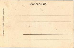 Segesvár, Schässburg, Sighisoara; Petőfi szobor. H. Zeidner kiadása / statue, monument (lyukak / pin...