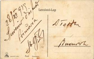 1919 Arad, Városháza este / town hall at night (EK)