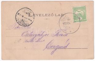 1911 Szarvkő, Hornstein; St. Stefan Milleniums-Monument, Kriche, Graben, Kurial / Szent István Mille...