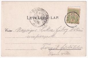 1905 Savanyúkút, Sauerbrunn; Hartig villa. Samuel Schön kiadása / villa. Art Nouveau, floral (fl)