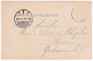 1901 Savanyúkút, Sauerbrunn; Curhaus / gyógyterem. Michael Stelzmüller kiadása / spa, bath (EK)