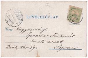 1902 Savanyúkút, Sauerbrunn; látkép, vasútállomás. Samuel Schön kiadása / general view, railway stat...