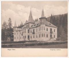 Tátra, Tatry; Virágvölgy (Rózsavölgy), Blumental, Kvetnica; Viribus Unitis villa. M.T. és F.V. Koch és Pór kiadása - hajtatlan panorámalap / hotel villa - unfolded panoramacard