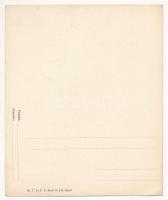 Tátra, Tatry; Virágvölgy (Rózsavölgy), Blumental, Kvetnica; Viribus Unitis villa. M.T. és F.V. Koch ...