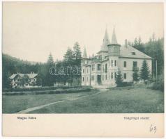 Tátra, Tatry; Virágvölgy (Rózsavölgy), Blumental, Kvetnica; Viribus Unitis villa. M.T. és F.V. Koch és Pór kiadása - hajtatlan panorámalap / hotel villa - unfolded panoramacard