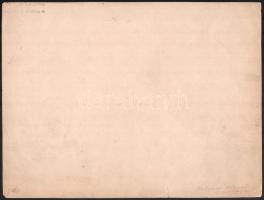 cca 1914-1920 A Várbazár épületének két nagyméretű képe, a hátoldalán "Dr. Lux Kálmán" (18...