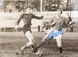 August Starek Rapid Wien labdarúgó aláírt fotója 18x13 cm / Autograph signed photo of footbalist