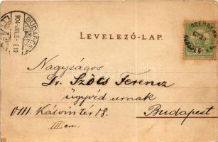 1904 Gödöllő, Királyi kastély. Holzbrand-Imitations-Postkarte Verlag von Walter Härtel. Art Nouveau,...