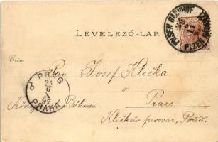 1897 (Vorläufer!) Szeged, Városháza, Széchenyi tér, Városi színház, Híd utca, Közúti vashíd és rakpa...