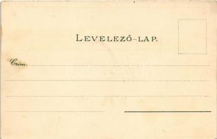 Győr, Radó tér, Újváros, Városháza, zsinagóga, híd. Polgár Bertalan kiadása. Art Nouveau, floral, li...