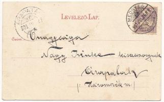 1901 Medgyes, Mediasch, Medias; Református és zsidó templom a vasútállomás felől, zsinagóga. Fritz G...