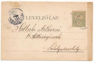 1905 Kolozsvár, Cluj; Triska zongora raktára (Friedrich Ehrbar, Bösendorfer), üzlet belső. Divald / ...