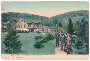 1905 Stájerlak, Steierlak, Stájerlakanina, Steierdorf, Anina; nyaraló, fürdő vendégek. Weisz Félix kiadása / villa, spa guests (kis szakadás / small tear)